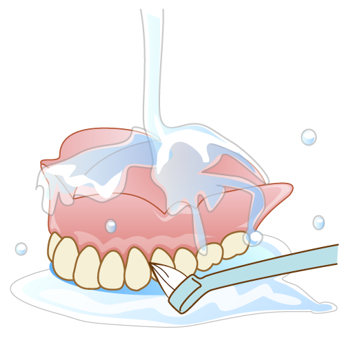 有床義歯（入れ歯）のメンテナンスで使用する義歯ブラシ