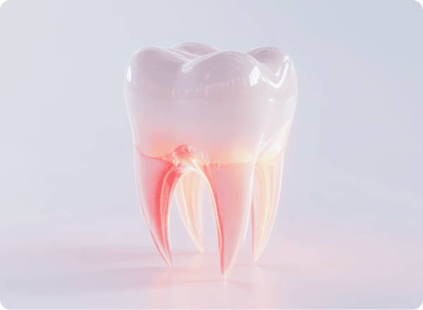 ※画像はイメージです