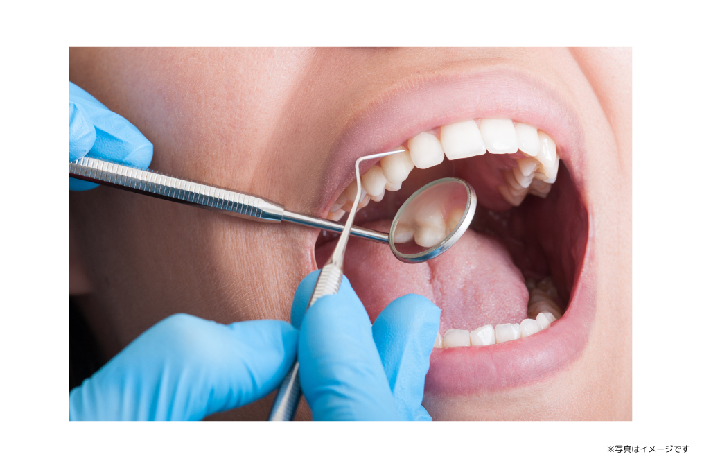 ※写真はイメージです