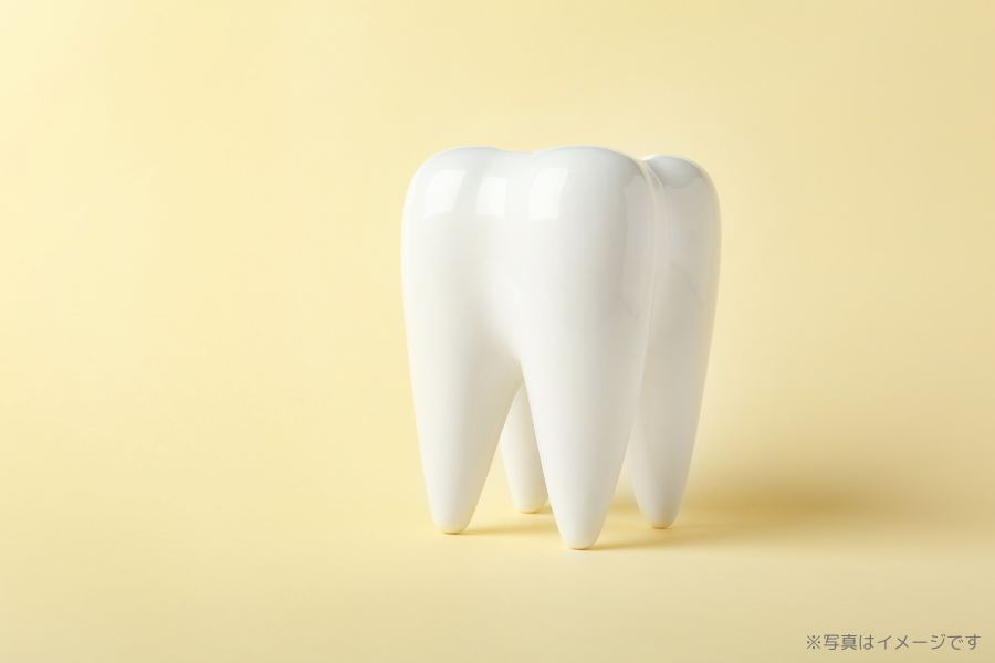 ※画像はイメージです