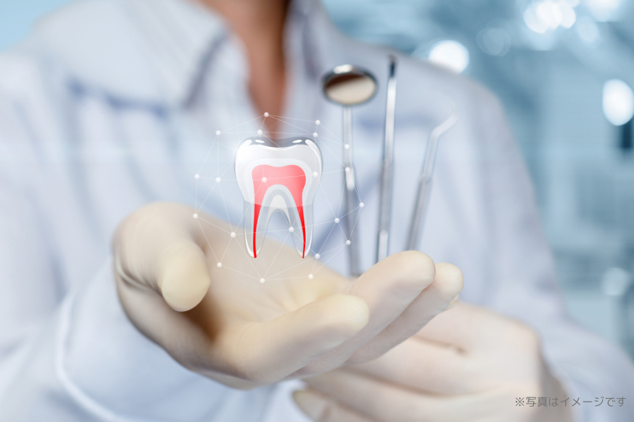 ※画像はイメージです