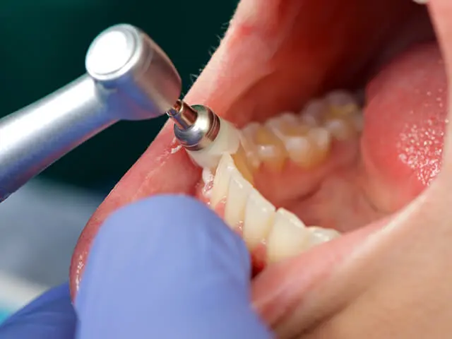 位相差顕微鏡を活用した科学的なアプローチを採用しています