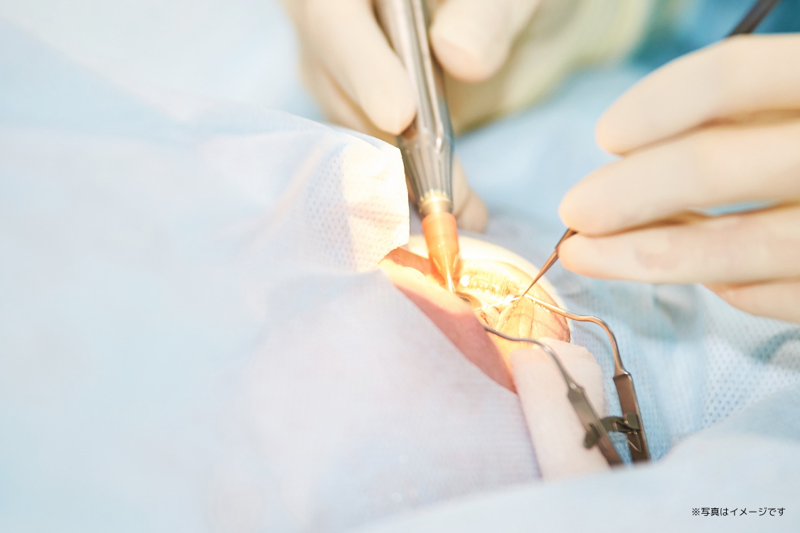 専門性を持った複数の経験豊かな歯科医が連携をとり、レベルの高い診療を提供し続けています