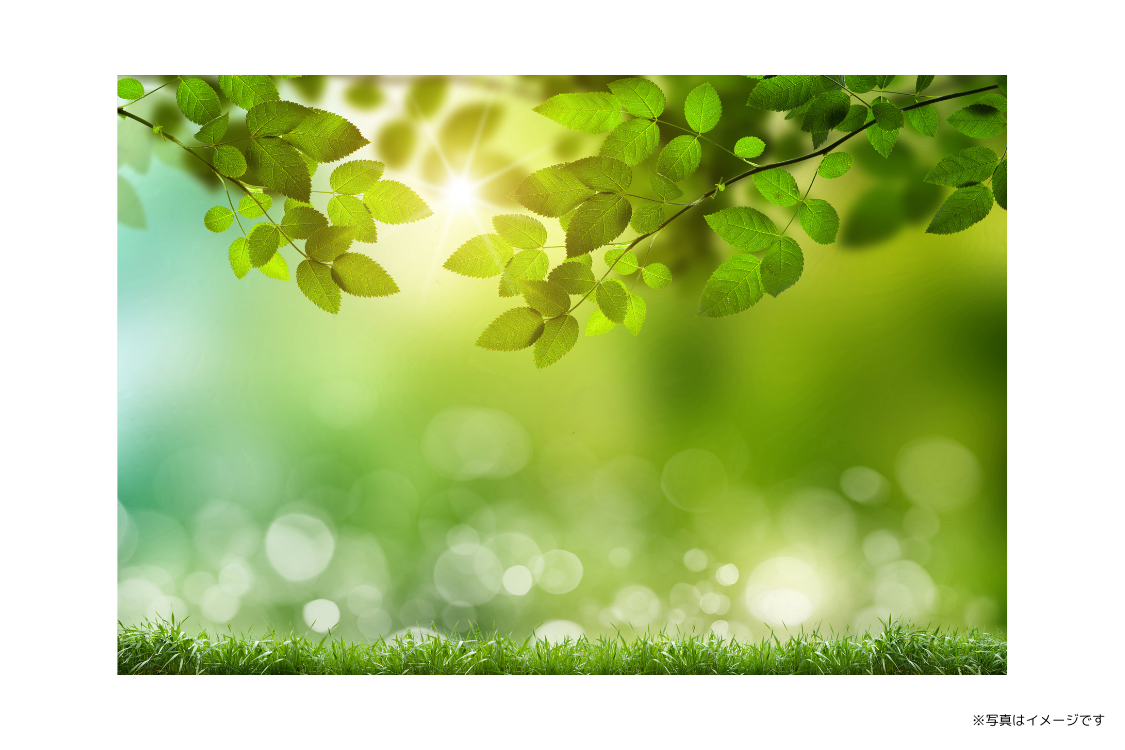 治療だけでなく、予防やメンテナンスまでを見据えた長期的な口腔管理を重視しています