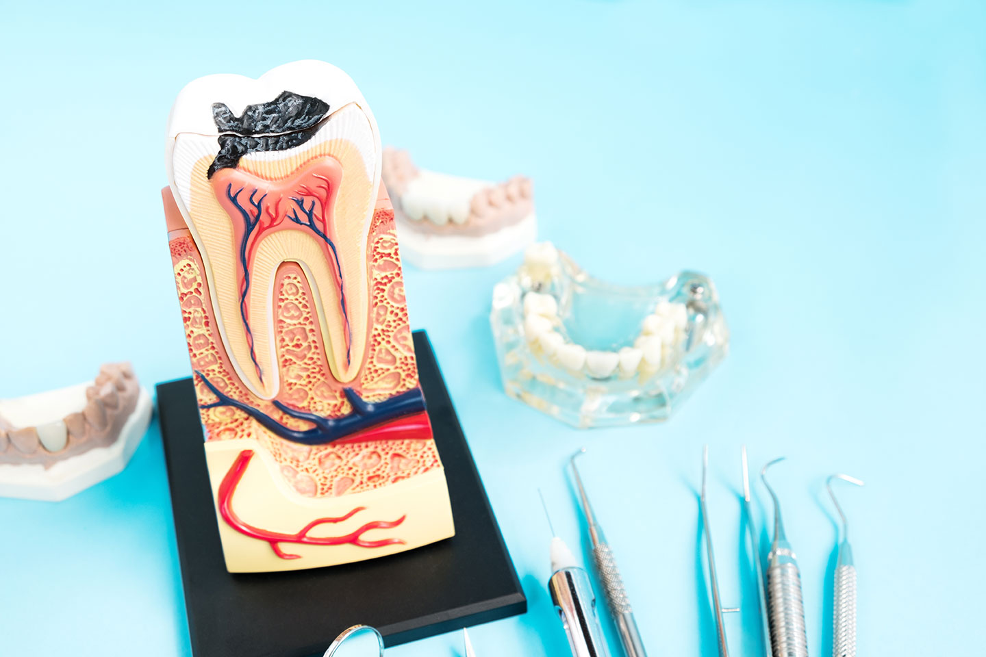 安心しておまかせください