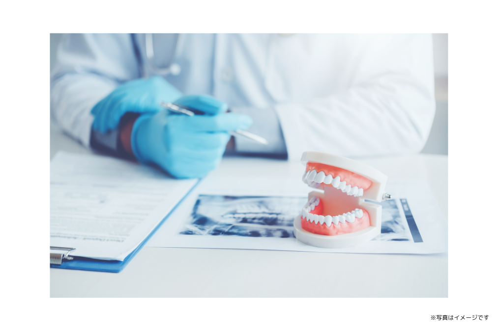 虫歯や歯周病の治療を中心に、幅広い年齢層の患者様に対応した一般歯科診療を実施しています
