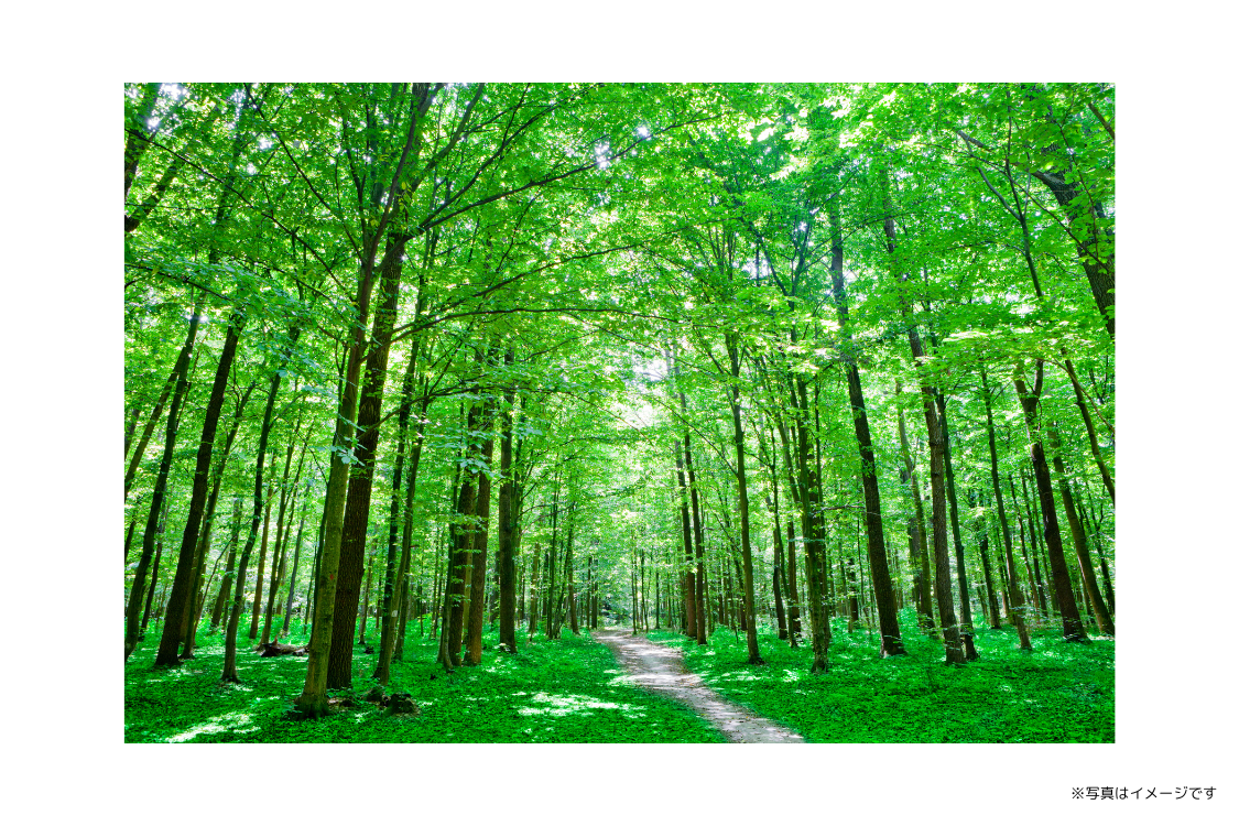 地域の歯科医療とともに歩み、患者様一人ひとりに寄り添った診療を心がけています