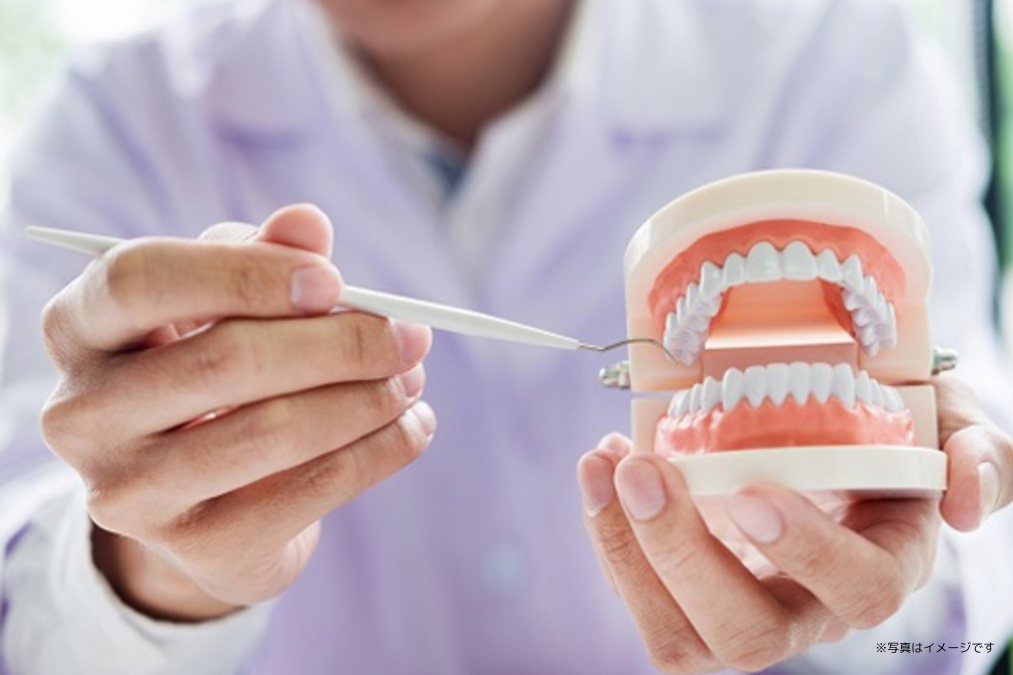 ※写真はイメージです