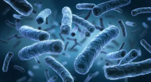 むし歯の原因菌はお口の中に存在するミュータンス菌です