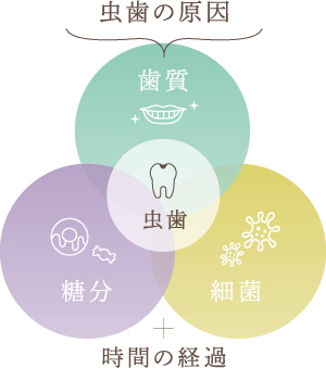 なるべく削らず抜かない治療を信条としています