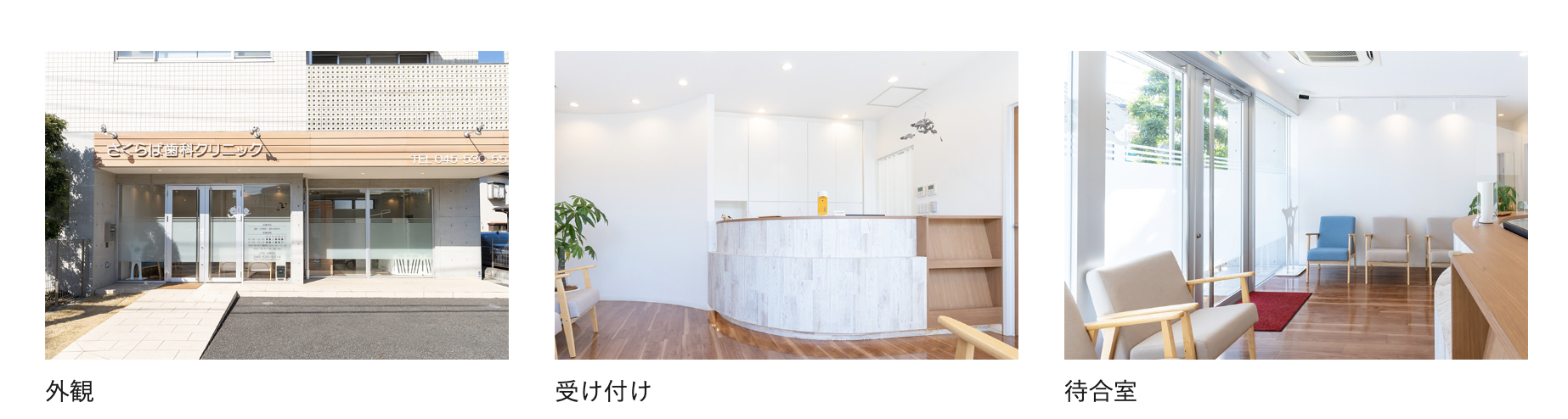 【痛みの少ない治療】【キッズスペース完備】家族で通いやすいさくらば歯科クリニック