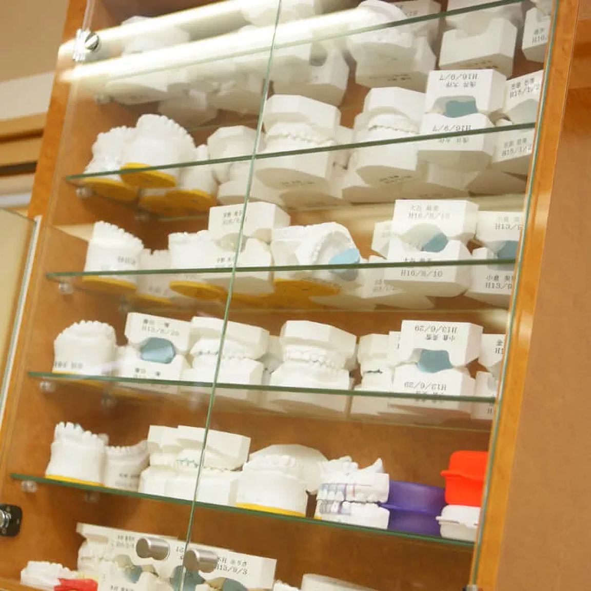 美しさと耐久性のバランスを追求