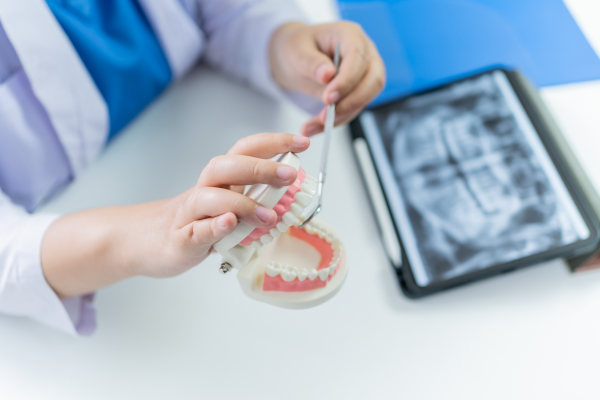 ※画像はイメージです