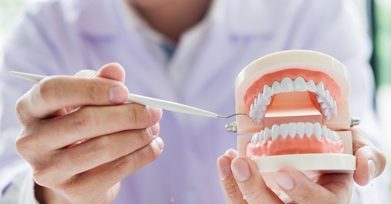 ※画像はイメージです