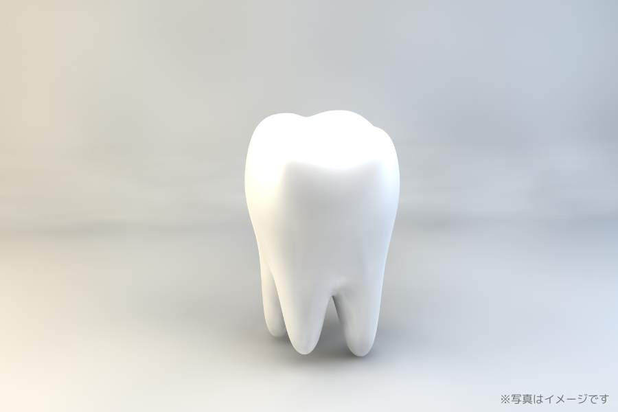 ※画像はイメージです