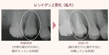 様々な症例に対応します