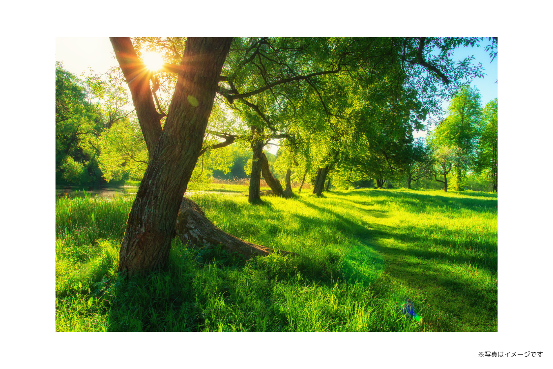 患者様の希望に沿うそれぞれに合った治療計画を立て、より良い口腔環境に整えていくことを目標にしています