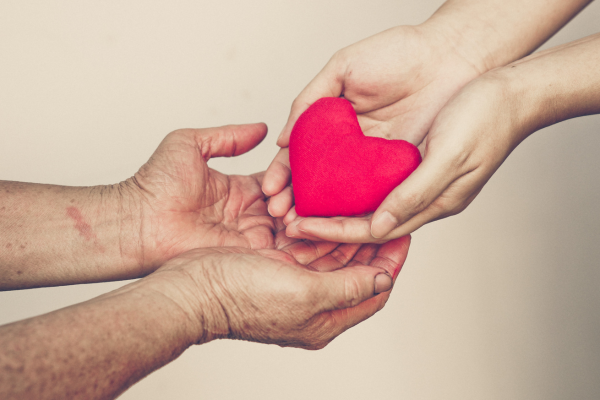 ※画像はイメージです