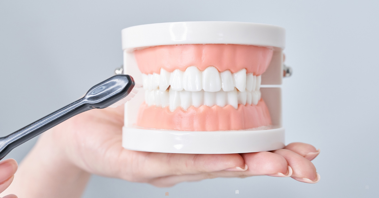 定期的な検診とPMTCで虫歯・歯周病を予防し、長期的な口腔健康を維持