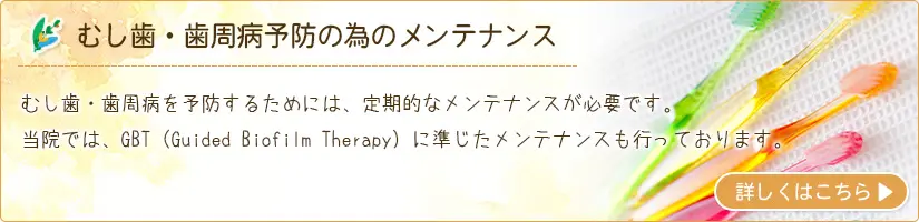 専門的なクリーニングで、むし歯や歯周病をしっかり予防します