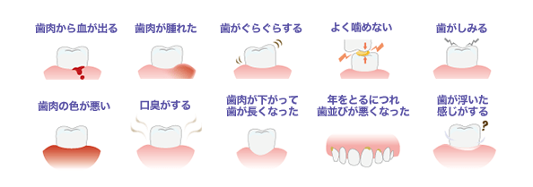 日々のケアと適切な治療で歯を守り、健康な未来をサポートします