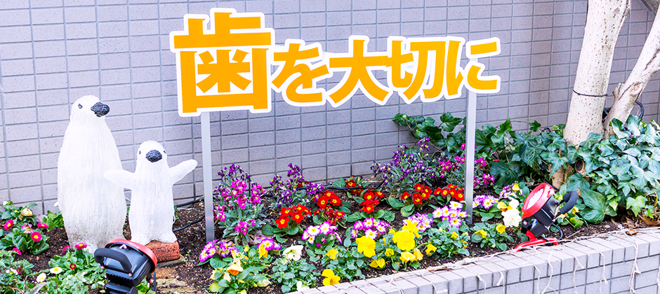 健康な歯で食事を楽しむ未来を守りましょう