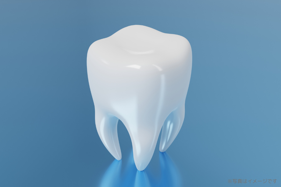 ※画像はイメージです