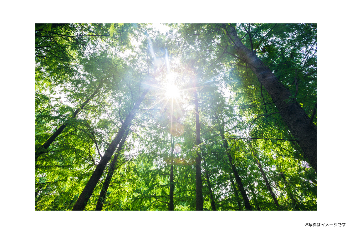 どんな些細なことでも気軽に相談できる環境づくりに努めています