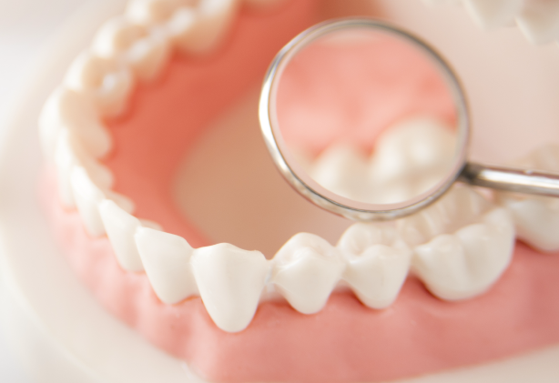 歯ブラシ1本から始める、続けやすい予防ケアを丁寧にサポート