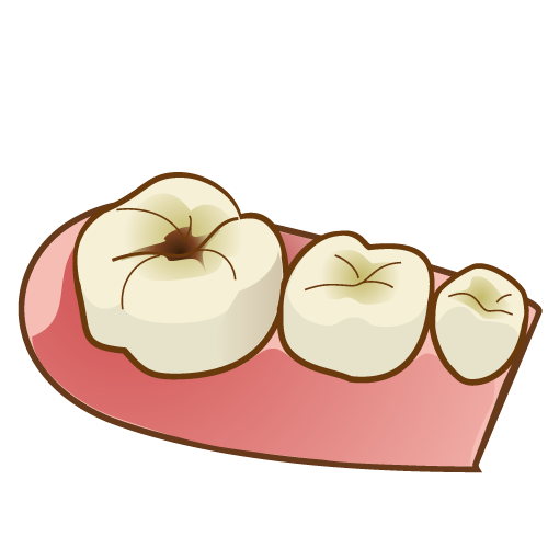 写真はイメージです