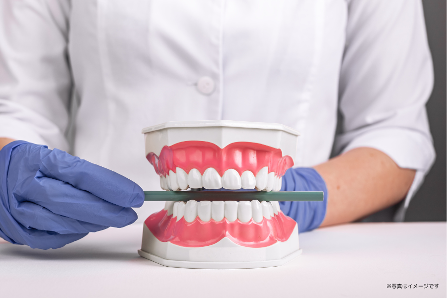 ※写真はイメージです