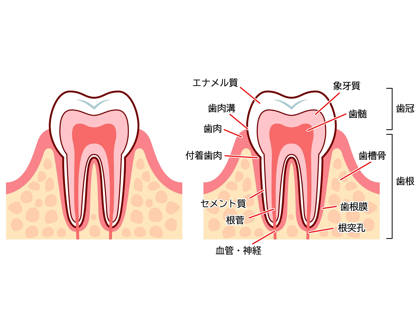 再発防止を含めた長期的な管理体制のもと、安心して治療に取り組める環境を整えています