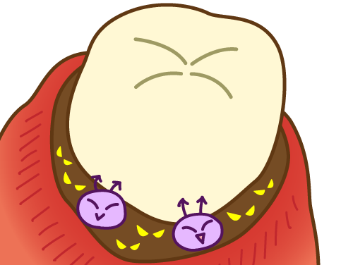 写真はイメージです