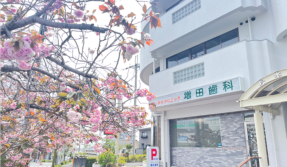 【摂津富田駅より市バスで10分】【土日も診療】【厚労省認定の高機能歯科】幅広い専門性と予防重視の増田歯科医院