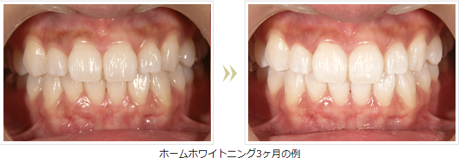 どんなことでもお気軽にご相談ください