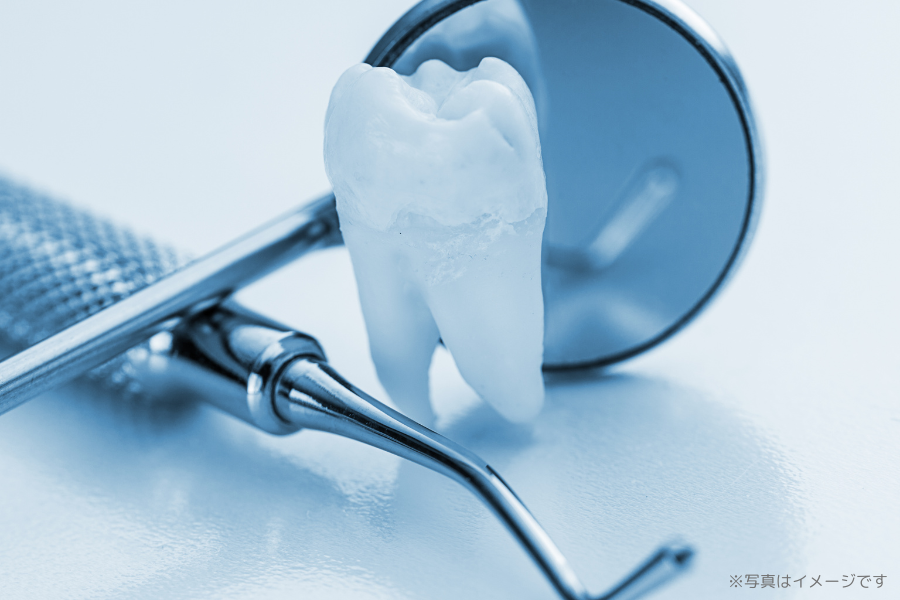 ※画像はイメージです