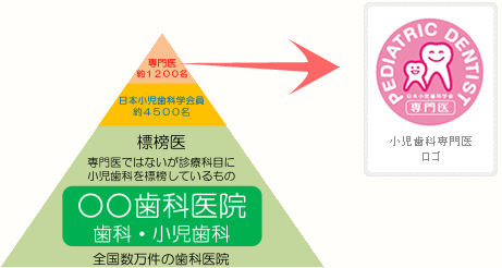 【日本小児歯科学会専門医指導医 在籍】【日本外傷歯学会認定医指導医 在籍】専門的な小児診療・外傷治療の花博ささき歯科