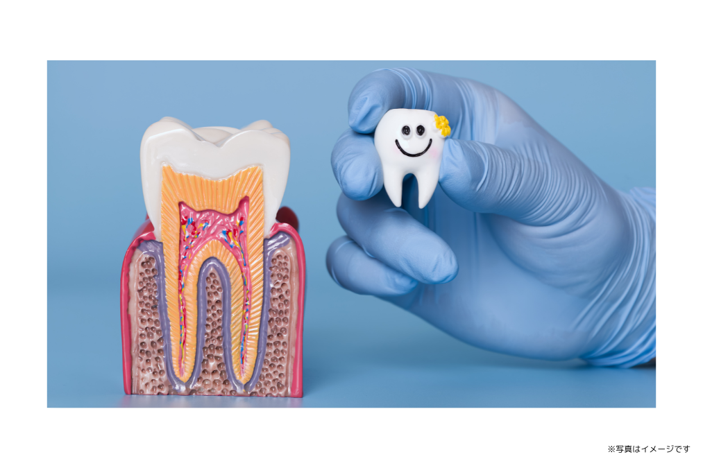 ※写真はイメージです