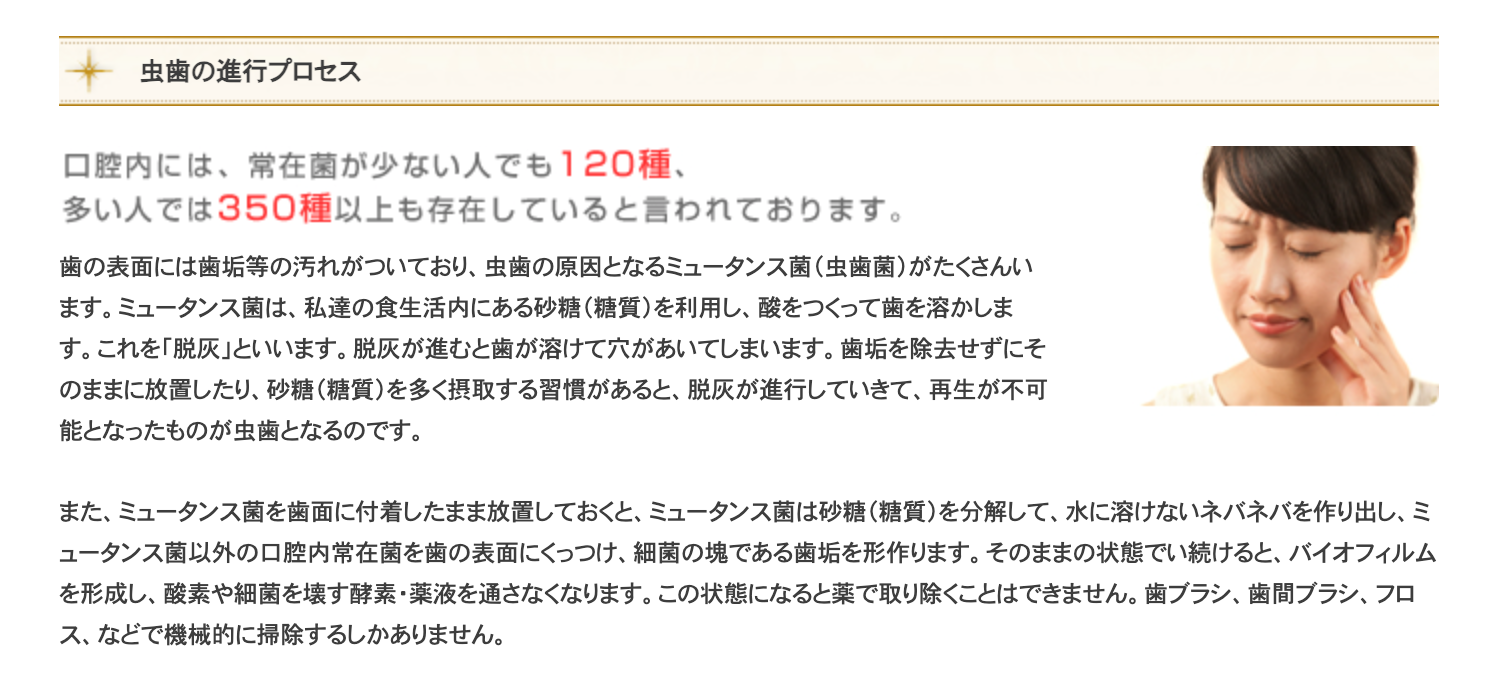 一般歯科と小児歯科を通じて、お子様から大人まで幅広い年齢層の患者様のお口の健康を守っています