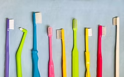 見落としがちな歯石やプラークも、丁寧に取り除く基本ケア