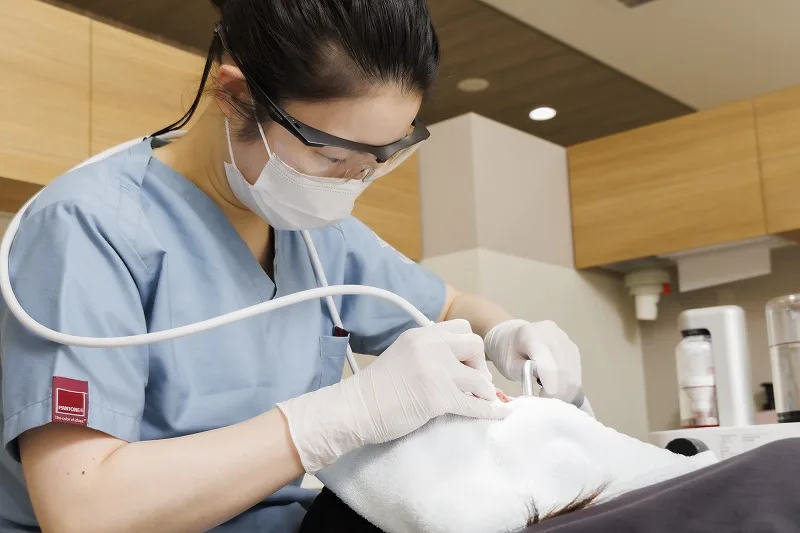 「医療は愛」の理念を大切に、信頼と安心の歯科治療を提供