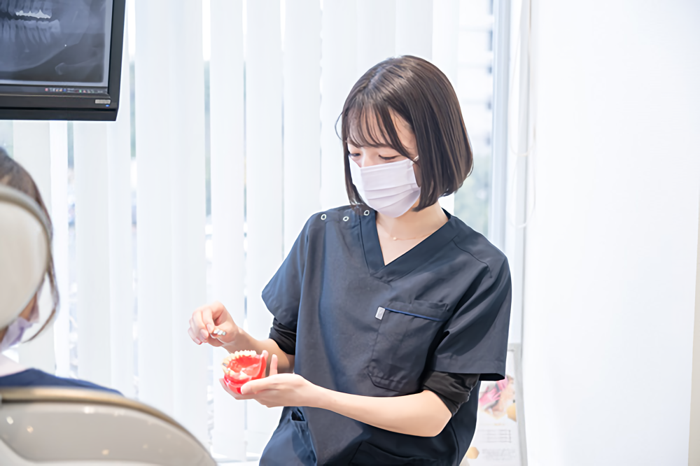 模型を使った治療説明