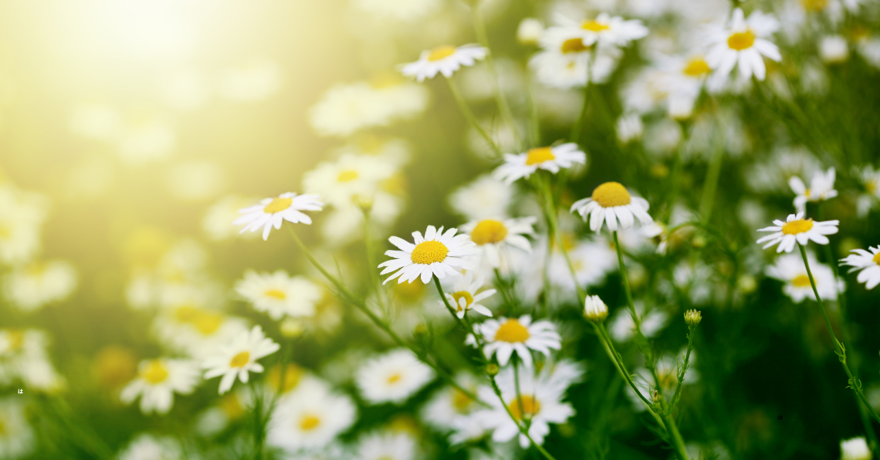 多目的スペースあり