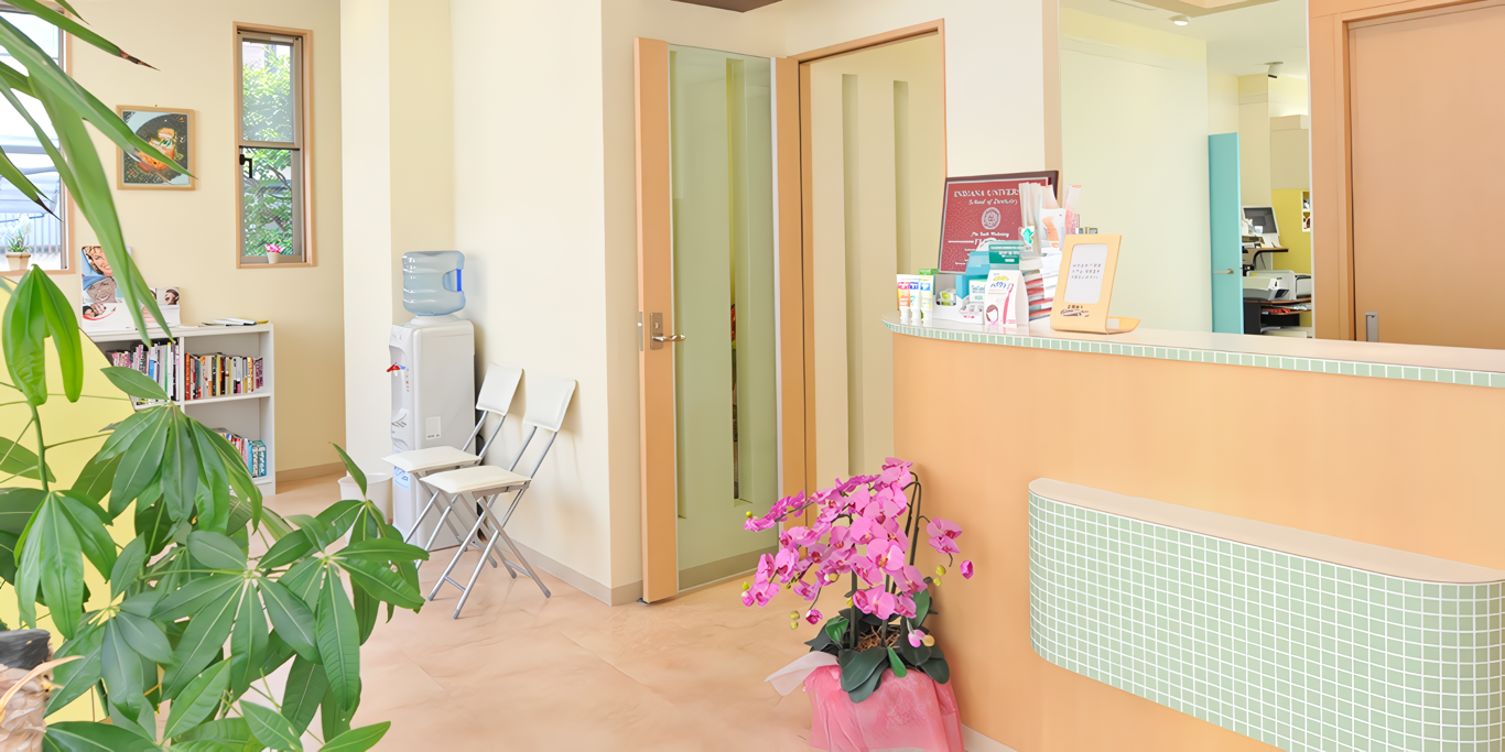 保険適用から自費の入れ歯まで取り揃えています