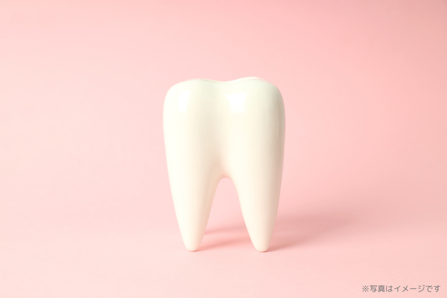 ※写真はイメージです